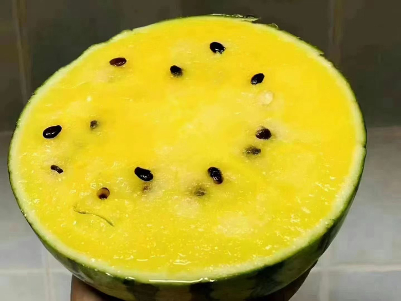 黄瓤西瓜切开展示黄色果肉