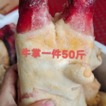 前，后，短牛蹄1件50斤炖汤烧适合所有人群1件起常年批发