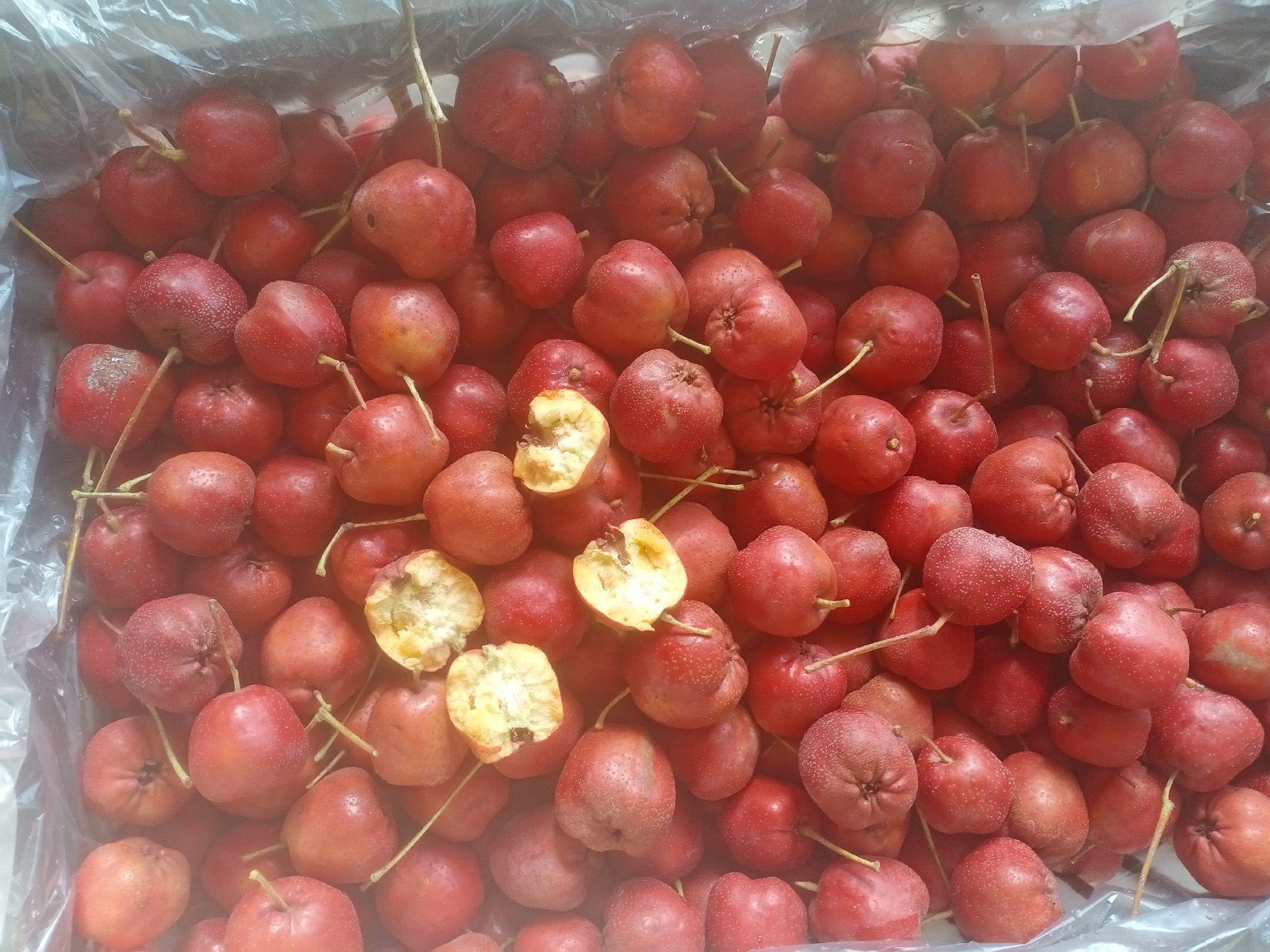 市场销售场景图