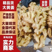 【精品】生姜大黄姜小黄姜产地一手货源保质保量