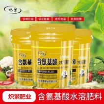 炽繁肥业氨基酸水溶性肥料果树蔬菜草莓桶装水溶肥料