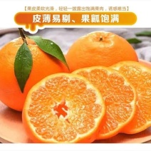 八年耙耙柑果园转让