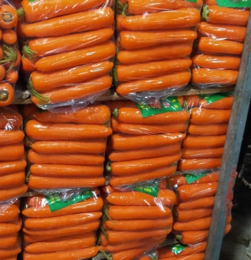 精品水洗胡萝卜中条小条次品大量供应