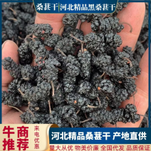 【黑桑葚】河北精品桑葚干产地直供物美价廉品质保证