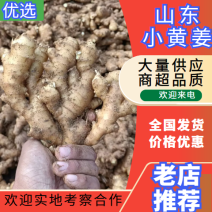 【畅销小黄姜】山东小黄姜产地直供，价格便宜，来电咨询