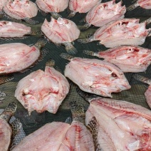 冰鲜河虾，山坑鱼，翘嘴鱼，阳干翘嘴鱼，鲫鱼，桂鱼等