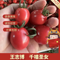 山东千禧果圣女果实力代发全国包邮供应各大平台