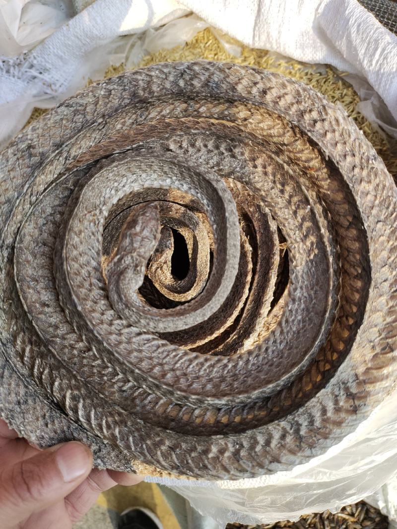 乌梢蛇中药材乌梢蛇一手货源欢迎咨询采购下单