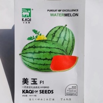 一代杂交美玉礼品西瓜种子早熟椭圆形小西瓜种子红瓤皮薄韧
