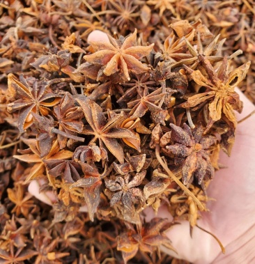 [春花八角批发]广西无硫春花八角价格18.00元/斤 - 一亩田