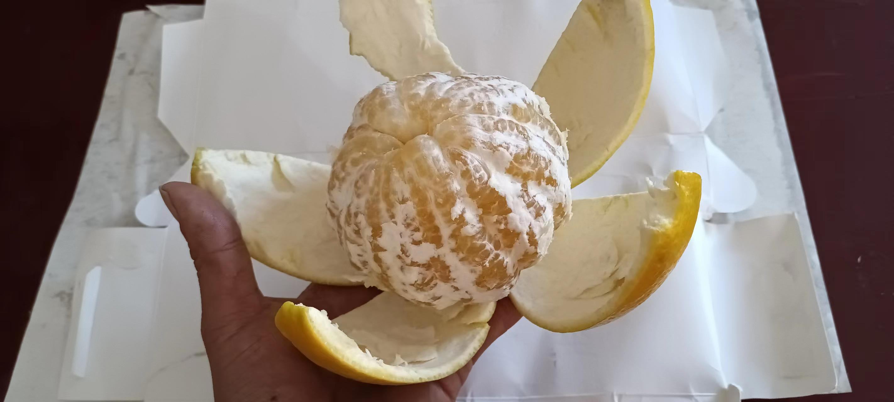 葡萄柚果皮清洗过程