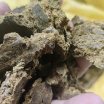 厂家直接发货篦麻饼，篦麻饼含有机质高，肥效长