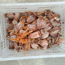 陕西富平柿饼