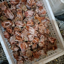富平柿饼