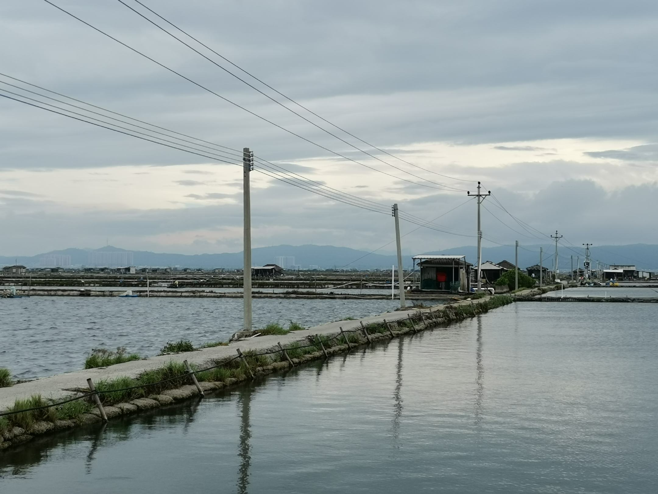 花蛤养殖场地建设