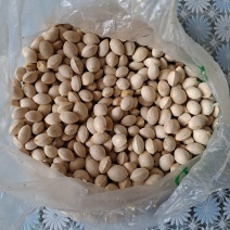 白果