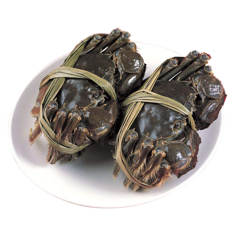 微山湖河蟹批发市场 微山湖河蟹批发市场