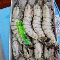 黑虎虾