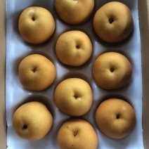 丰水梨，三层箱装42#，果面干净，大小均匀，我需要的联系