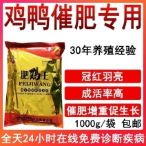 肉鸡肉鸭催肥禽用鸡鹅鸽子兽用增肥促长素肉鸡饲料添加剂长肉