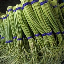 金乡蒜苔山东金乡蒜薹，冷库出租实力配资。代收代销。