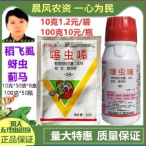 30%噻虫嗪10克蚜虫、蓟马、茶小绿叶蝉、稻飞虱农药杀虫