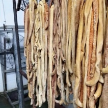 【卤牛肠】国产黄牛熟牛小肠纯干无水熟牛圆肠熟度高电联