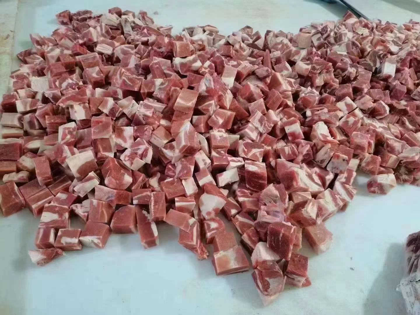 高清俯拍:左侧为去皮切块并浸泡在淡盐水中的白萝卜块(晶莹微透,边缘无褐变);右侧为新鲜羊腩肉块(红润有光泽,可见均匀雪花纹路);背景铺陈老姜片、葱段、八角、桂皮等香料,所有食材摆放整齐,体现专业级备料标准 白萝卜与羊肉食材特写对比图