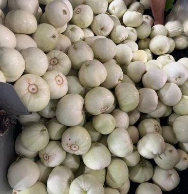 [甜瓜批发]薄皮甜瓜,王中王.瓜形圆,皮白,果匀.价格1.