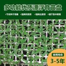 育苗盘