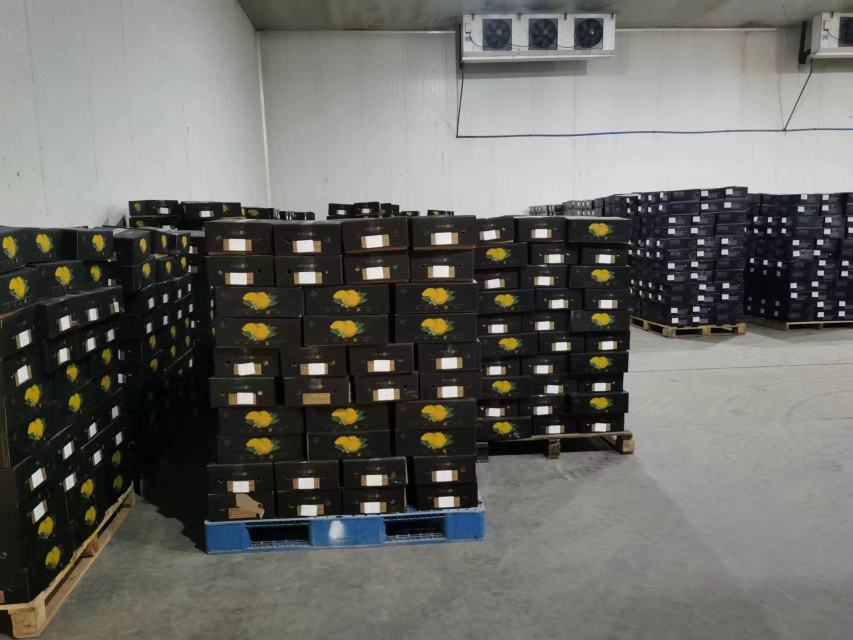 柠檬储存方法示意图