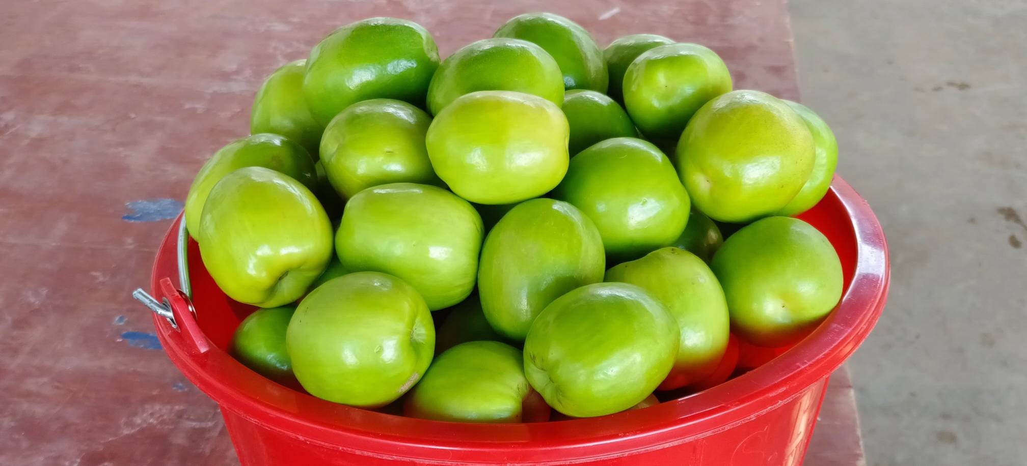 一个传统水果摊位上,左侧摆放着翠绿饱满的青枣,右侧陈列着深绿色略带光泽的青橄榄,中间有标签分别标注‘青枣’和‘青橄榄’,背景为清晨市场的热闹场景,突出两者的外形与摆放差异 市场中摆放的青枣与青橄榄对比图