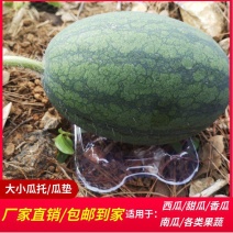 厂家加厚西瓜托哈密瓜香瓜甜瓜托吸塑塑料瓜垫防腐烂瓜托