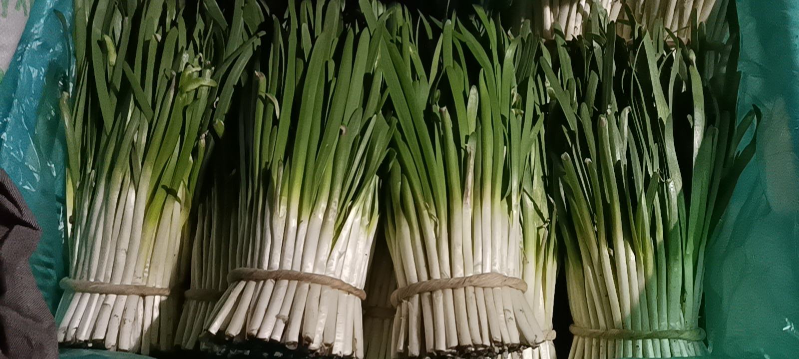 韭菜食谱展示图