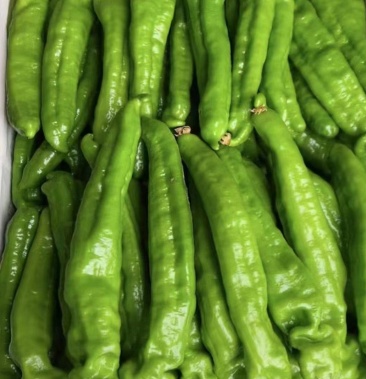 [线椒批发]兰陵县精品龙椒,薄皮辣椒,线椒,大量上市中………价格2.