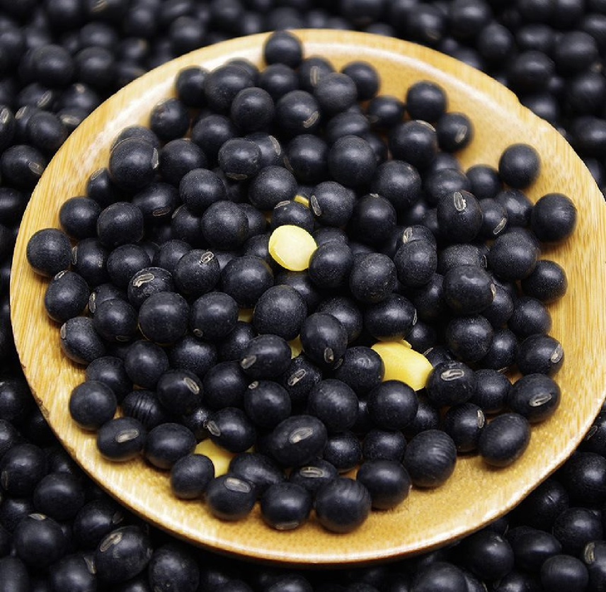 一盘散装未脱皮的优质黑豆,颗粒均匀、色泽乌黑发亮,背景为木质砧板,旁边放有一把不锈钢勺子用于对比大小 黑豆原料特写