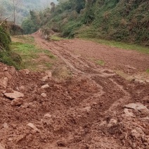 乡村山区林地出租