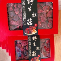 特级红菇干货红色透明礼盒500克红中菇，随县野生红菇