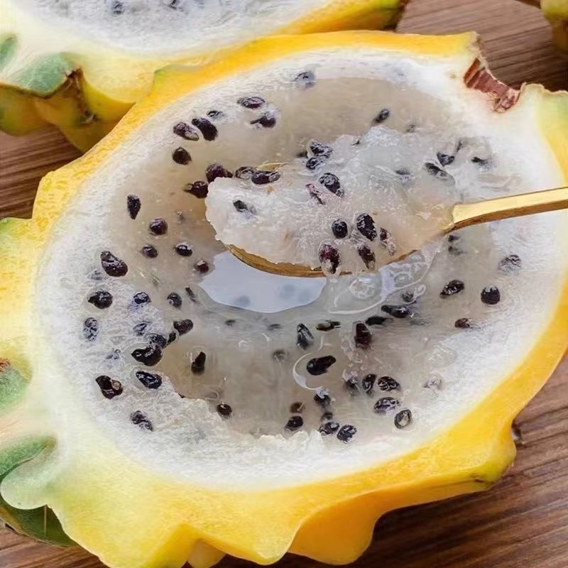 红包火龙果,燕窝火龙果