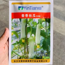 有瓜香丝瓜种子春香丝瓜308极早熟杂交种子白皮丝瓜种子