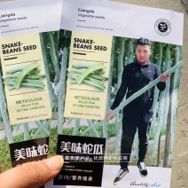 美味蛇瓜种子特长蛇豆种子抗病抗虫性强特长丝瓜种子
