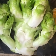 儿菜