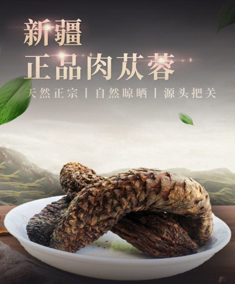 [肉苁蓉批发]新疆和田于田县肉苁蓉 35.00元/斤新疆于田特产 _ 一亩田