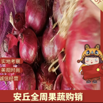 安丘冷库红皮洋葱大量出库，质量保证常年供应。