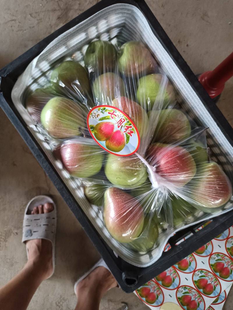 山西运城临猗七月红梨口感脆甜,渣细,糖度高欢迎咨询