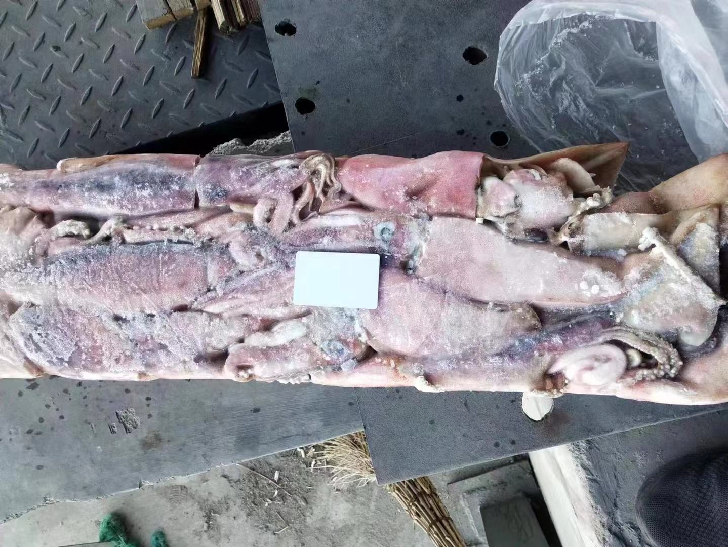 鱿鱼营养成分表