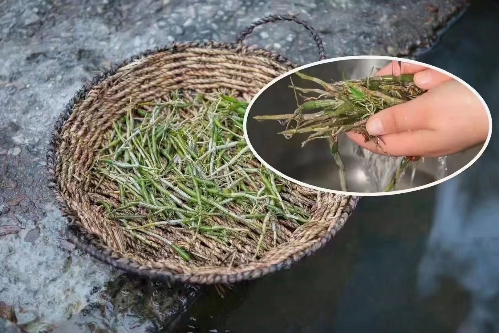 正确清洗葡萄方法