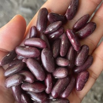 缅甸红腰豆