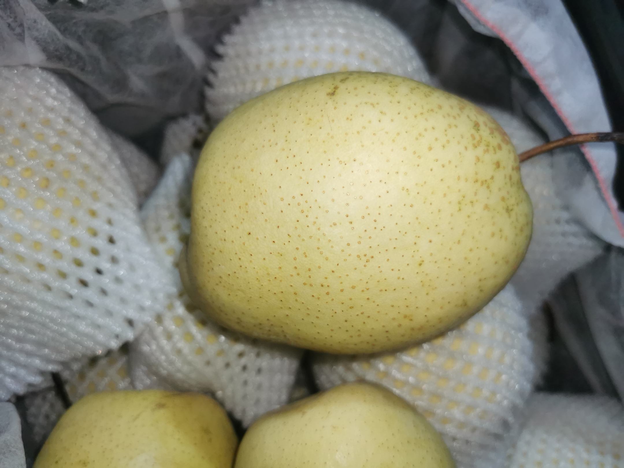 两组对比摆放的雪花梨:左侧为三个优质雪花梨,表皮光洁呈黄白色,形态饱满;右侧为两个有问题的梨,分别带有黑斑、凹陷和轻微霉点,背景为农贸市场摊位 优质雪花梨选购对比图