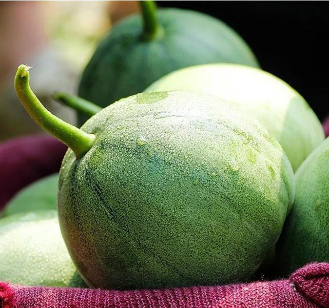 一颗被横向切开的玉姑3号绿皮网纹瓜,露出鲜艳的橙黄色果肉,果肉质地细腻无纤维,中心胎座清晰,周围汁液饱满,网纹从外皮延伸至果肉边缘,刀口处可见明显的糖心层,背景为白色陶瓷盘与绿叶点缀 玉姑3号切开展示内部果肉与网纹结构